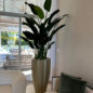 San Jose Fluted Planter in Champagne with Birds of Paradise