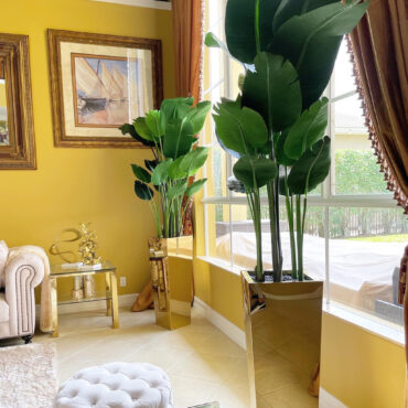 Gold Cube Planter with Bird of Paradise (7′)