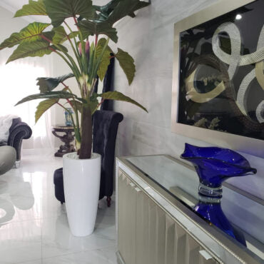 Red Prince Alocasia in Dax L glossy white planter