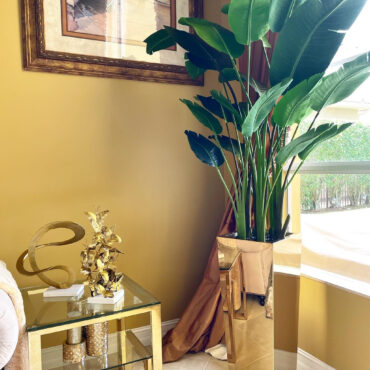 Gold Cube Planter with Bird of Paradise (7′)