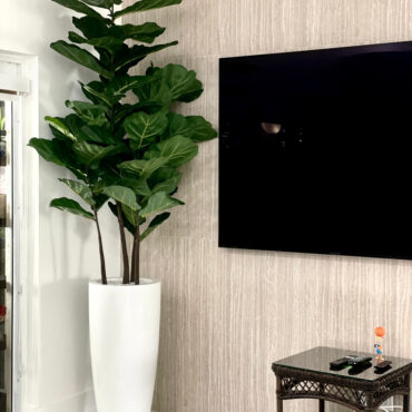Fiddle Leaf Tree with Dax L Glossy White Fiberglass Planter