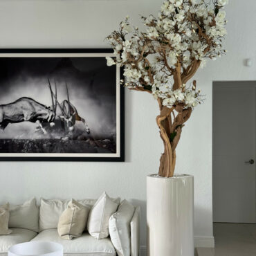 10ft White Magnolia Tree in Glossy Beige St. Tropez Planter
