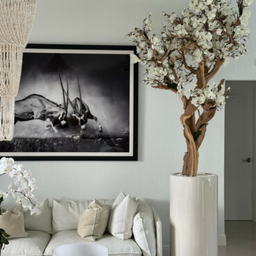 10ft White Magnolia Tree in Glossy Beige St. Tropez Planter