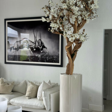 10ft White Magnolia Tree in Glossy Beige St. Tropez Planter