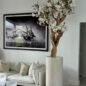 10ft White Magnolia Tree in Glossy Beige St. Tropez Planter