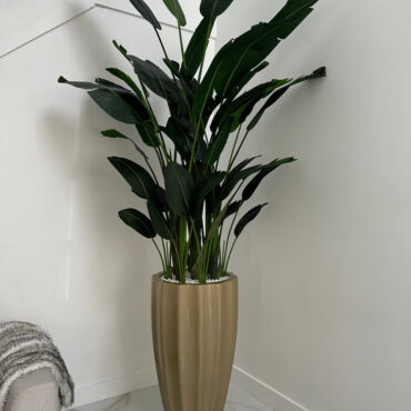 San Jose Fluted Planter in Champagne with Birds of Paradise