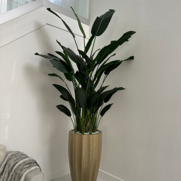 San Jose Fluted Planter in Champagne with Birds of Paradise