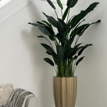 San Jose Fluted Planter in Champagne with Birds of Paradise