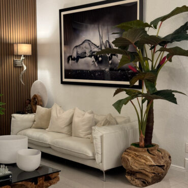 Oversized Teak Bowl with Alocacia Plant