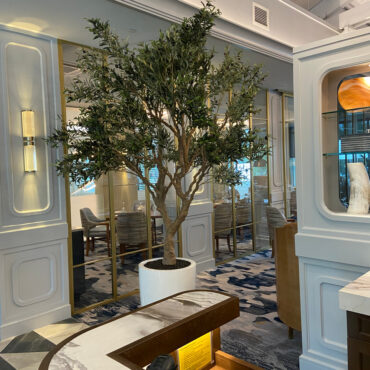 Artificial 98″ Olive Tree In Glossy White Ben Planter