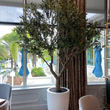 Artificial 98″ Olive Tree In Glossy White Ben Planter