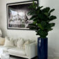 Fiddle Leaf Tree with Glossy Cobalt Blue St. Tropez Planter