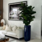Fiddle Leaf Tree with Glossy Cobalt Blue St. Tropez Planter