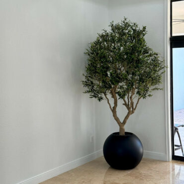 Olive Tree in Matte Black 30″ Globe Planter