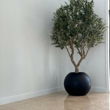 Olive Tree in Matte Black 30″ Globe Planter