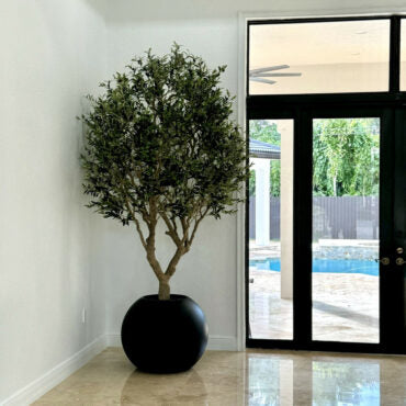 Olive Tree in Matte Black 30″ Globe Planter