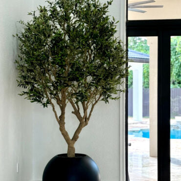 Olive Tree in Matte Black 30″ Globe Planter