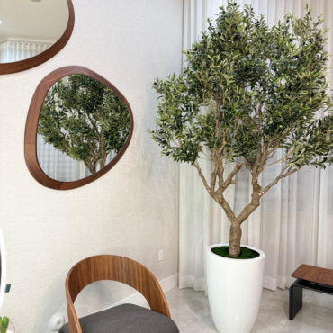 Artificial 98″ Olive Tree In Glossy White Ben Planter