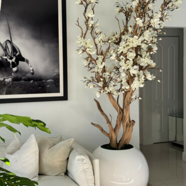 White Magnolia Tree in 30″ Glossy White Globe Planter