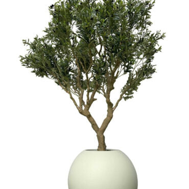 Olive Tree in Matte Beige 30″ Globe Planter