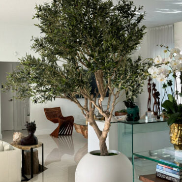 Olive Tree in Matte Beige 30″ Globe Planter