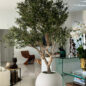 Olive Tree in Matte Beige 30″ Globe Planter