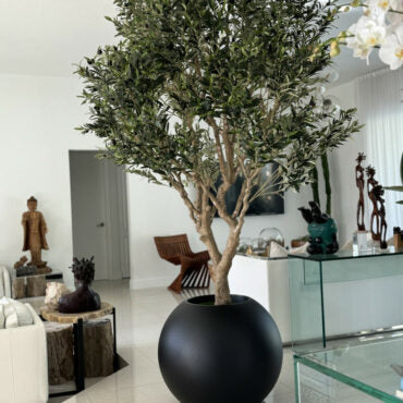 Olive Tree in Matte Black 30″ Globe Planter