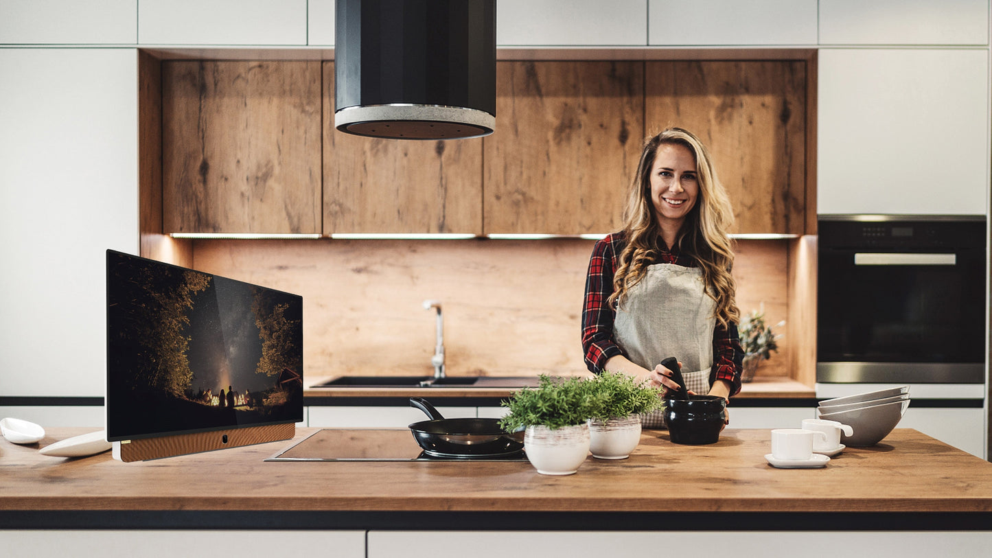 Portable™ 24P100 LED Display | Google TV