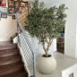 Olive Tree in Matte Beige 30″ Globe Planter