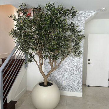 Olive Tree in Matte Beige 30″ Globe Planter
