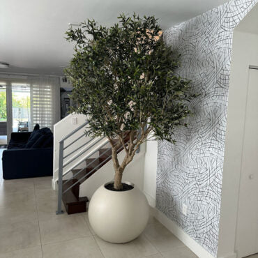 Olive Tree in Matte Beige 30″ Globe Planter