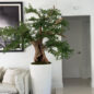 Artificial Black Olive Bonsai Tree in Glossy White Belle Planter