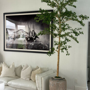 Parthenon Planter with 9′ Shady Lady Tree