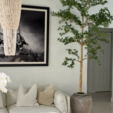 Parthenon Planter with 9′ Shady Lady Tree