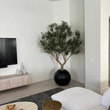 Olive Tree in Matte Black 30″ Globe Planter