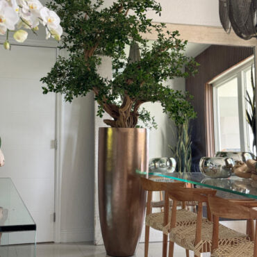 Artificial Black Olive Bonsai Tree in Gold Revolver Planter