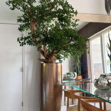 Artificial Black Olive Bonsai Tree in Gold Revolver Planter